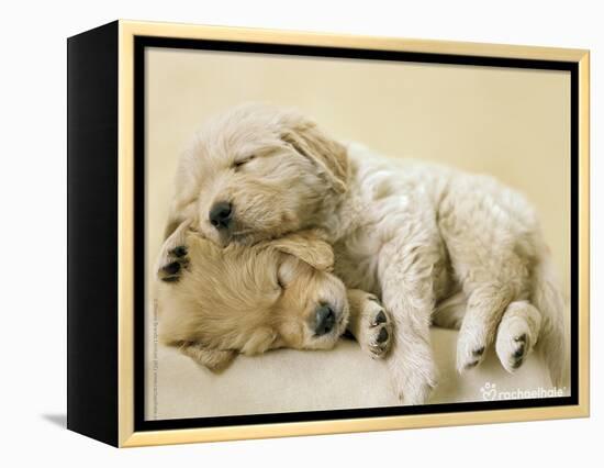 Connie and Jay-Rachael Hale-Framed Stretched Canvas