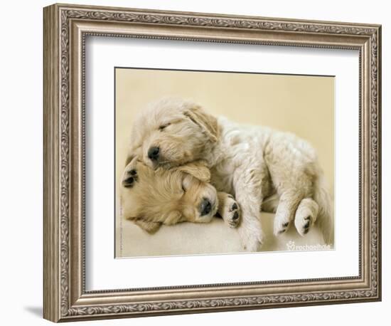 Connie and Jay-Rachael Hale-Framed Premium Giclee Print