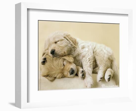 Connie and Jay-Rachael Hale-Framed Premium Giclee Print