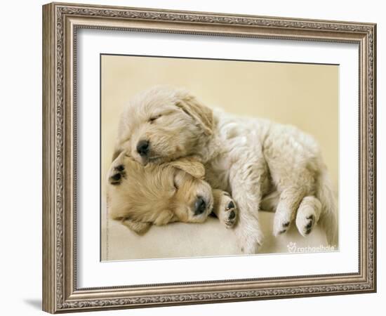 Connie and Jay-Rachael Hale-Framed Art Print