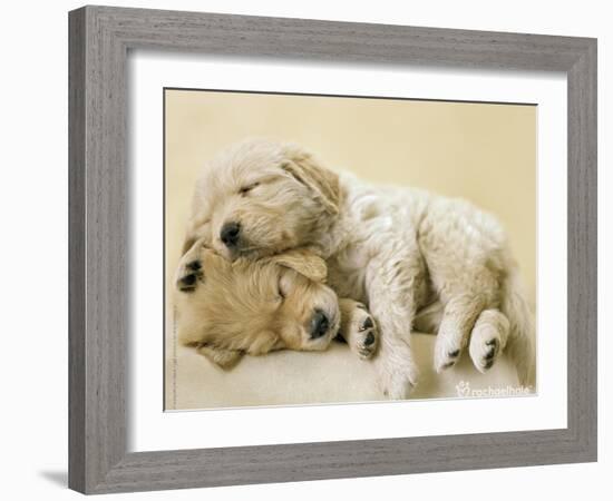 Connie and Jay-Rachael Hale-Framed Art Print