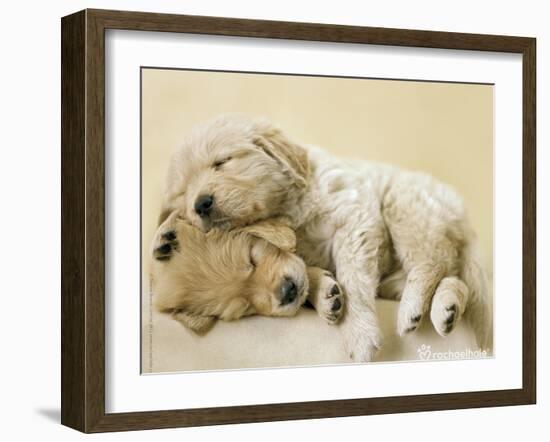 Connie and Jay-Rachael Hale-Framed Art Print