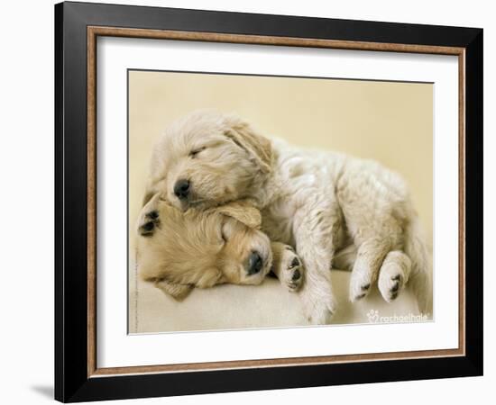 Connie and Jay-Rachael Hale-Framed Art Print