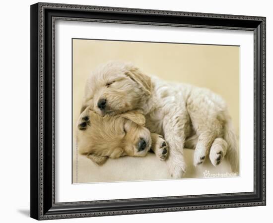 Connie and Jay-Rachael Hale-Framed Art Print