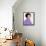 Connie Francis-null-Framed Stretched Canvas displayed on a wall