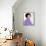 Connie Francis-null-Framed Stretched Canvas displayed on a wall