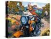 Stretched Canvas Print