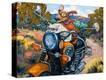 Stretched Canvas Print