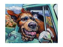 Sunglass Mutt-Connie R. Townsend-Art Print