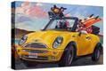 Stretched Canvas Print