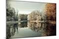 Photographic Print