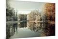 Photographic Print