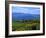 Conor Pass Ruin, Dingle Peninsula, County Kerry, Ireland-Marilyn Parver-Framed Photographic Print