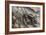 Conquering the Mountains, Italy, World War I-Cyrus Cuneo-Framed Giclee Print