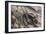 Conquering the Mountains, Italy, World War I-Cyrus Cuneo-Framed Giclee Print