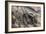 Conquering the Mountains, Italy, World War I-Cyrus Cuneo-Framed Giclee Print