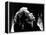 Conquest, Greta Garbo, 1937-null-Framed Stretched Canvas