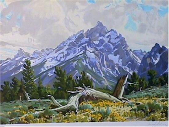 Limited Edition, , large