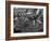 Conrad, Typhoon, Chinese-Maurice Greiffenhagen-Framed Art Print