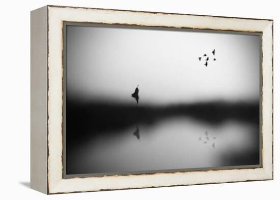 Conscience-Hengki Lee-Framed Premier Image Canvas