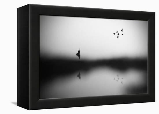 Conscience-Hengki Lee-Framed Premier Image Canvas