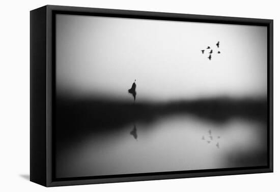 Conscience-Hengki Lee-Framed Premier Image Canvas