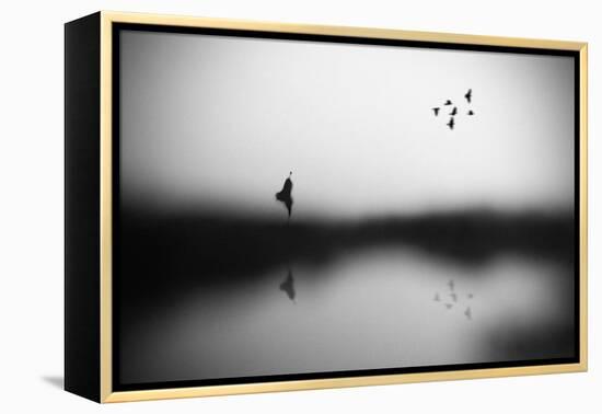 Conscience-Hengki Lee-Framed Premier Image Canvas