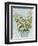 Conservatory Collage II-Megan Meagher-Framed Art Print