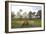 Conservatory, Golden Gate Park, San Francisco, California-Anna Miller-Framed Photographic Print