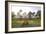 Conservatory, Golden Gate Park, San Francisco, California-Anna Miller-Framed Photographic Print