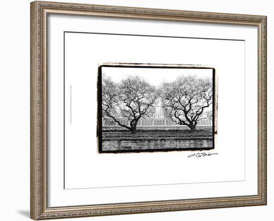 Conservatory II-Laura Denardo-Framed Art Print