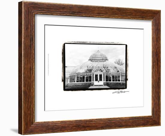 Conservatory III-Laura Denardo-Framed Art Print