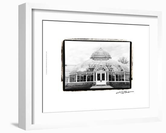 Conservatory III-Laura Denardo-Framed Art Print