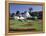 Conservatory of Flowers, Golden Gate Park, San Francisco, California, USA-null-Framed Premier Image Canvas