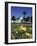 Conservatory of Flowers, Golden Gate Park, San Francisco, California, USA-null-Framed Photographic Print