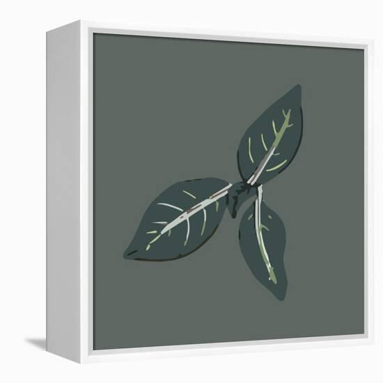Conservatory Plant 2-Sweet Melody Designs-Framed Stretched Canvas