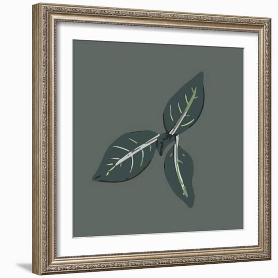 Conservatory Plant 2-Sweet Melody Designs-Framed Art Print