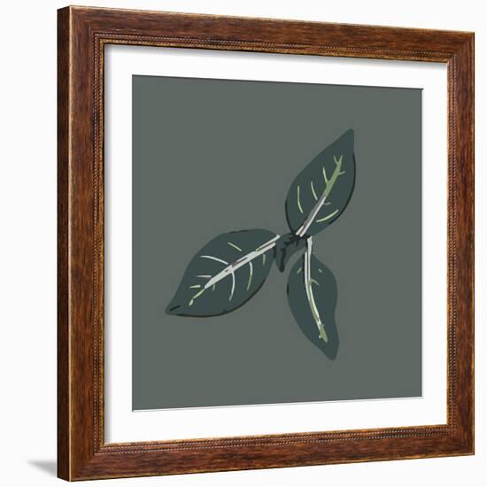 Conservatory Plant 2-Sweet Melody Designs-Framed Art Print