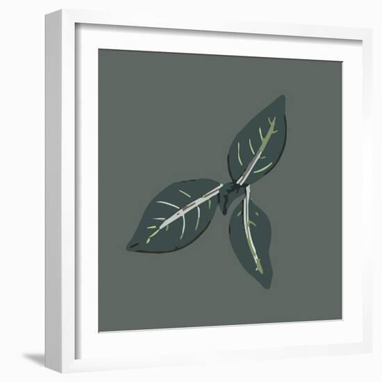 Conservatory Plant 2-Sweet Melody Designs-Framed Art Print