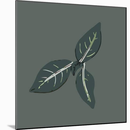 Conservatory Plant 2-Sweet Melody Designs-Mounted Art Print