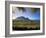 Constantia Wineries, Cape Town, South Africa-Michele Westmorland-Framed Photographic Print