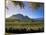 Constantia Wineries, Cape Town, South Africa-Michele Westmorland-Mounted Photographic Print