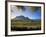 Constantia Wineries, Cape Town, South Africa-Michele Westmorland-Framed Photographic Print