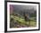 Constantia Winery, Cape Town, South Africa-Stuart Westmoreland-Framed Photographic Print