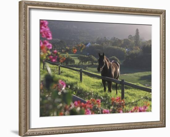 Constantia Winery, Cape Town, South Africa-Stuart Westmoreland-Framed Photographic Print