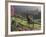 Constantia Winery, Cape Town, South Africa-Stuart Westmoreland-Framed Photographic Print