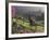 Constantia Winery, Cape Town, South Africa-Stuart Westmoreland-Framed Photographic Print