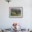 Constantia Winery, Cape Town, South Africa-Stuart Westmoreland-Framed Photographic Print displayed on a wall