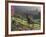 Constantia Winery, Cape Town, South Africa-Stuart Westmoreland-Framed Photographic Print