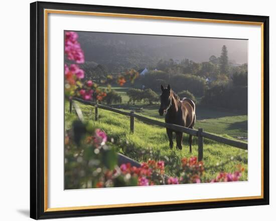 Constantia Winery, Cape Town, South Africa-Stuart Westmoreland-Framed Photographic Print